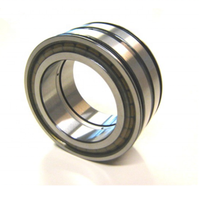 SL04 5028 PP Full Complement Cylindrical Roller Bearing SL04 5028