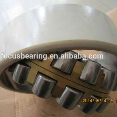 INSOCOAT cylindrical Ceramic coated roller bearing NU 320 ECM/C3VL0241